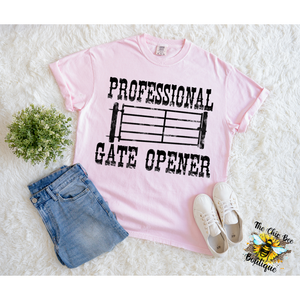 Professional Gate Opener