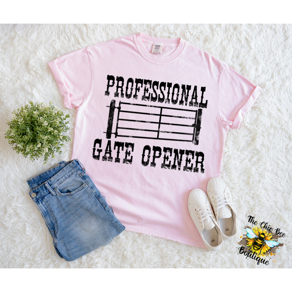 Professional Gate Opener
